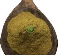 barberry root